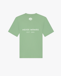 Casual T-shirt Print - Regular fit - Heren